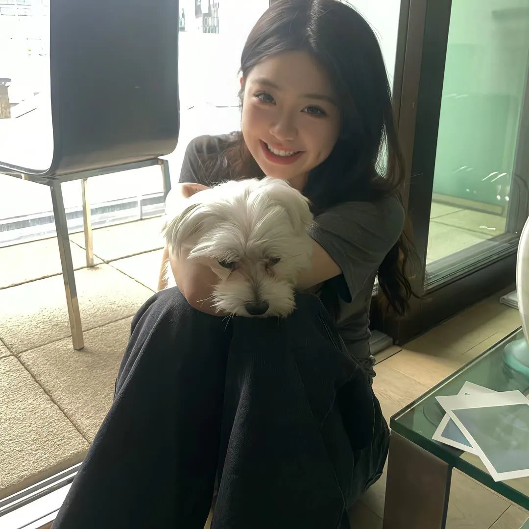 艳阳春水惊鸿